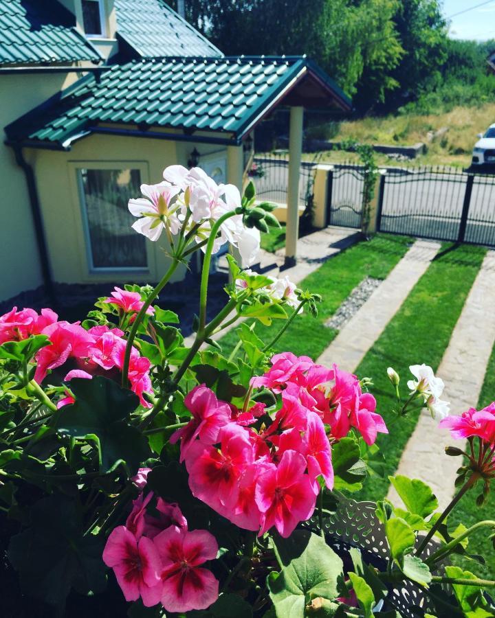 Casa Moldovan Ocna Şugatag Dış mekan fotoğraf