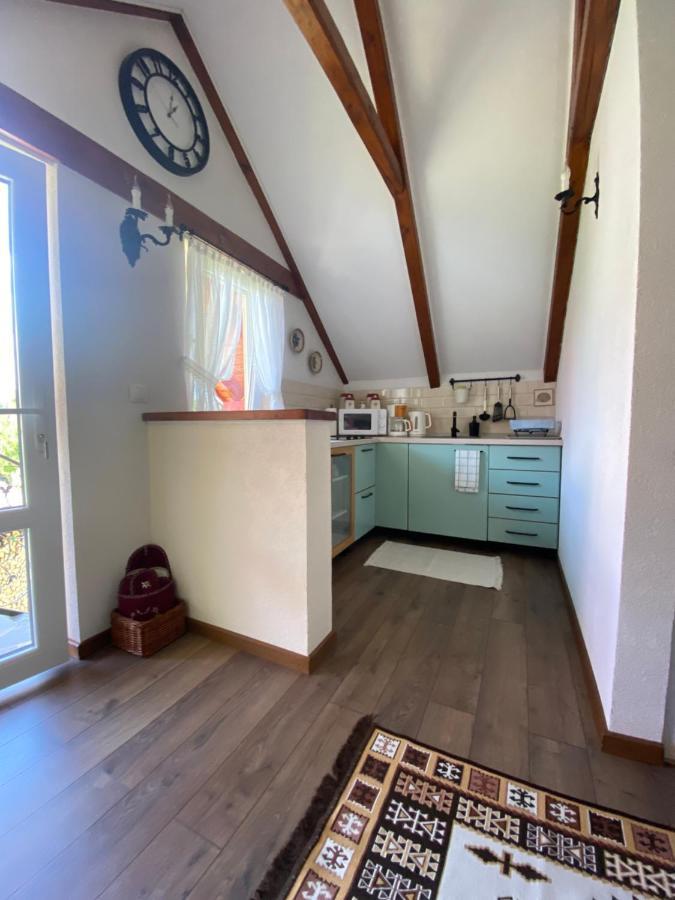 Casa Moldovan Ocna Şugatag Dış mekan fotoğraf