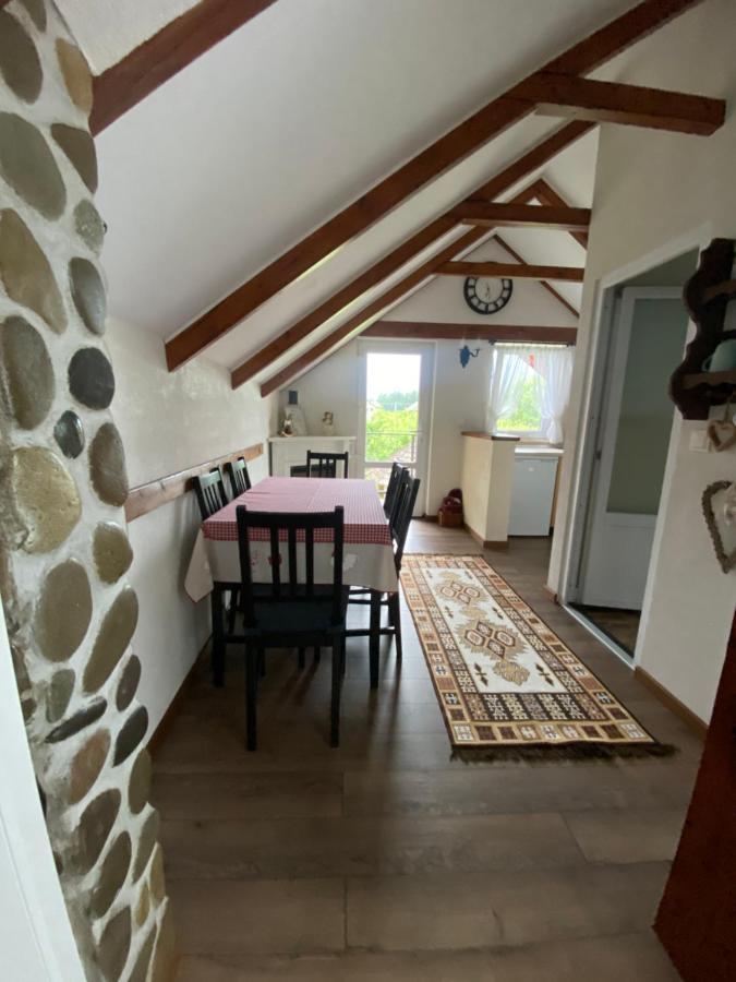 Casa Moldovan Ocna Şugatag Dış mekan fotoğraf