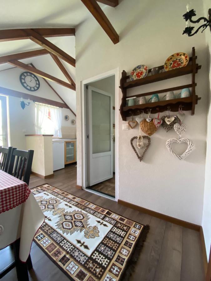 Casa Moldovan Ocna Şugatag Dış mekan fotoğraf
