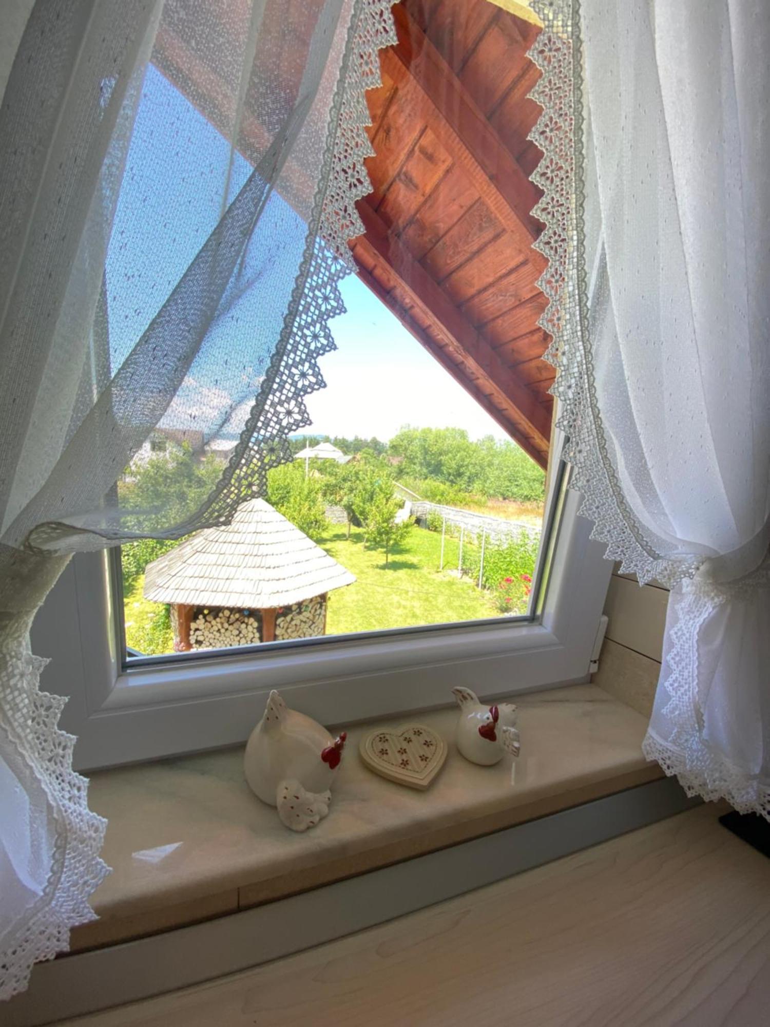 Casa Moldovan Ocna Şugatag Dış mekan fotoğraf